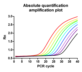 Absolute quantification amplification plot
